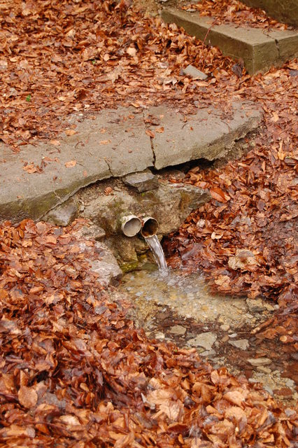 A képhez tartozó alt jellemző üres; 20241018_101325.jpg a fájlnév