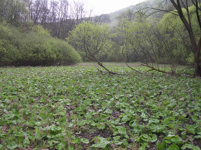 A képhez tartozó alt jellemző üres; 20241018_101325.jpg a fájlnév