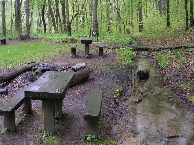 A képhez tartozó alt jellemző üres; 20241018_101325.jpg a fájlnév