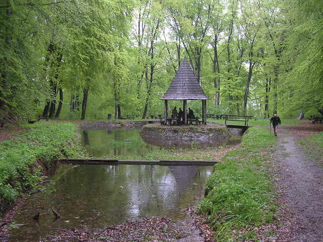 A képhez tartozó alt jellemző üres; 20241018_101325.jpg a fájlnév