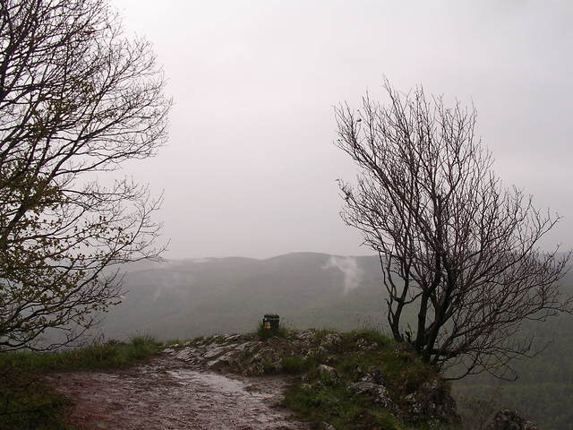 A képhez tartozó alt jellemző üres; 20241018_101325.jpg a fájlnév