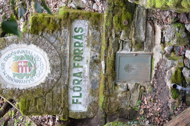 A képhez tartozó alt jellemző üres; 20241018_101325.jpg a fájlnév