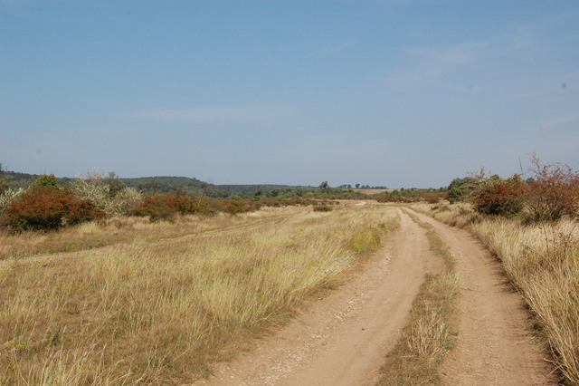 A képhez tartozó alt jellemző üres; 20241018_101325.jpg a fájlnév