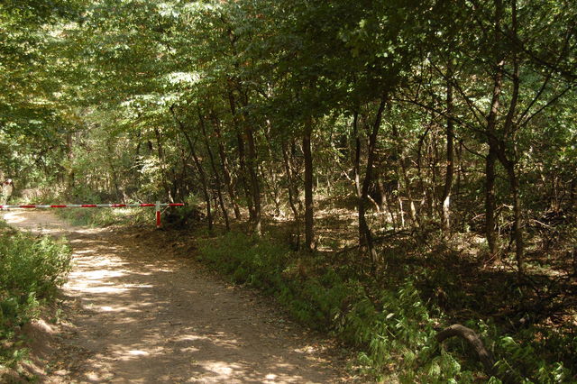 A képhez tartozó alt jellemző üres; 20241018_101325.jpg a fájlnév