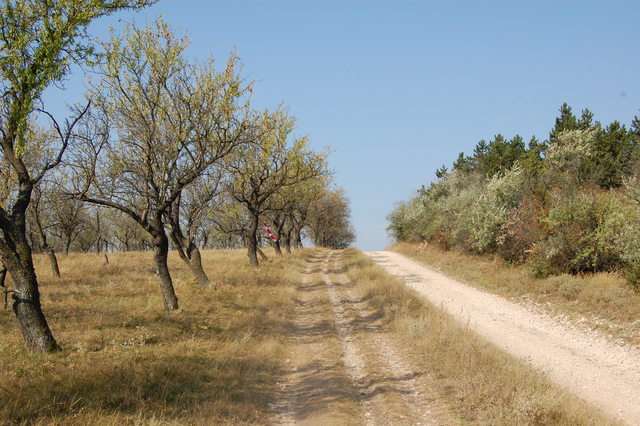 A képhez tartozó alt jellemző üres; 20241018_101325.jpg a fájlnév
