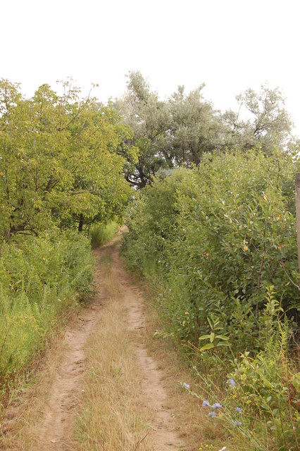 A képhez tartozó alt jellemző üres; 20241018_101325.jpg a fájlnév