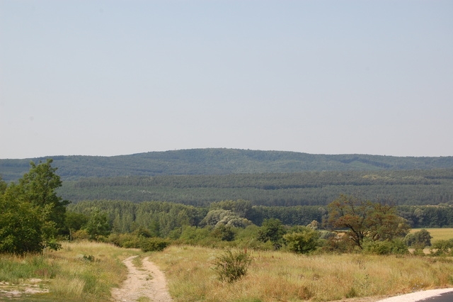 A képhez tartozó alt jellemző üres; 20241018_101325.jpg a fájlnév