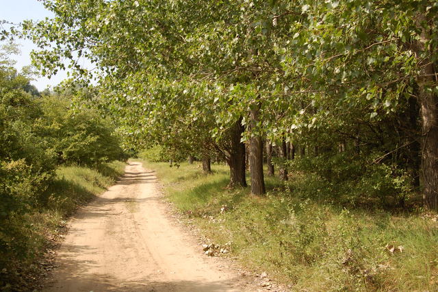 A képhez tartozó alt jellemző üres; 20241018_101325.jpg a fájlnév