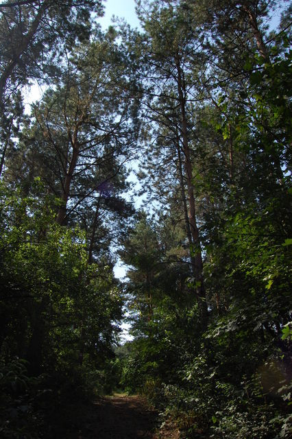 A képhez tartozó alt jellemző üres; 20241018_101325.jpg a fájlnév