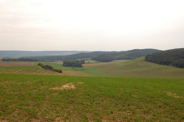 A képhez tartozó alt jellemző üres; 20241018_101325.jpg a fájlnév