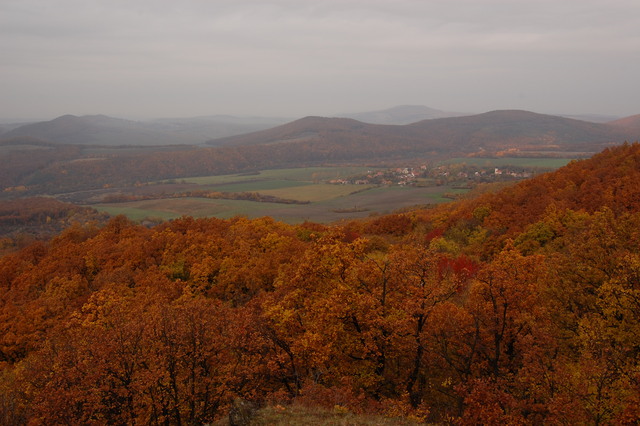 A képhez tartozó alt jellemző üres; 20241018_101325.jpg a fájlnév