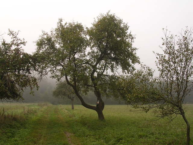 A képhez tartozó alt jellemző üres; 20241018_101325.jpg a fájlnév