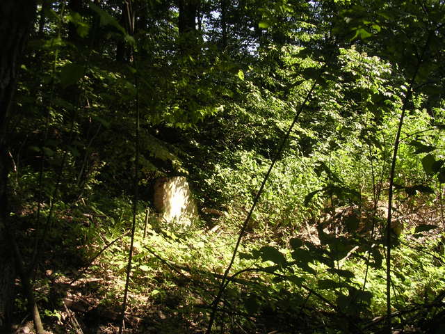 A képhez tartozó alt jellemző üres; 20241018_101325.jpg a fájlnév