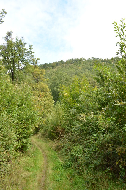 A képhez tartozó alt jellemző üres; 20241018_101325.jpg a fájlnév