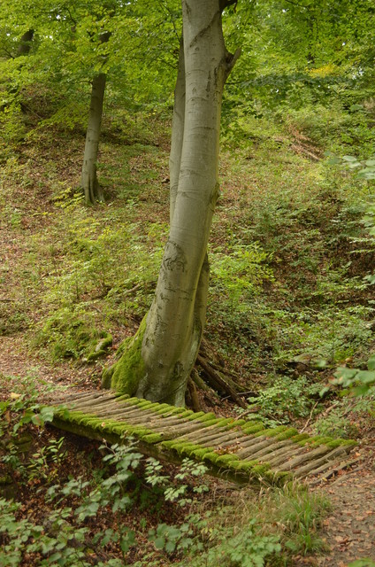 A képhez tartozó alt jellemző üres; 20241018_101325.jpg a fájlnév