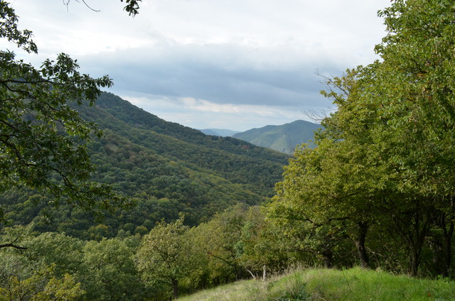 A képhez tartozó alt jellemző üres; 20241018_101325.jpg a fájlnév