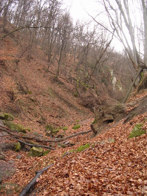 A képhez tartozó alt jellemző üres; 20241018_101325.jpg a fájlnév