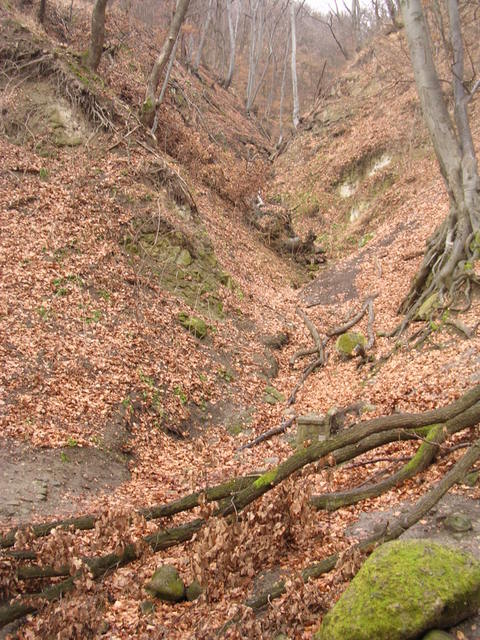 A képhez tartozó alt jellemző üres; 20241018_101325.jpg a fájlnév