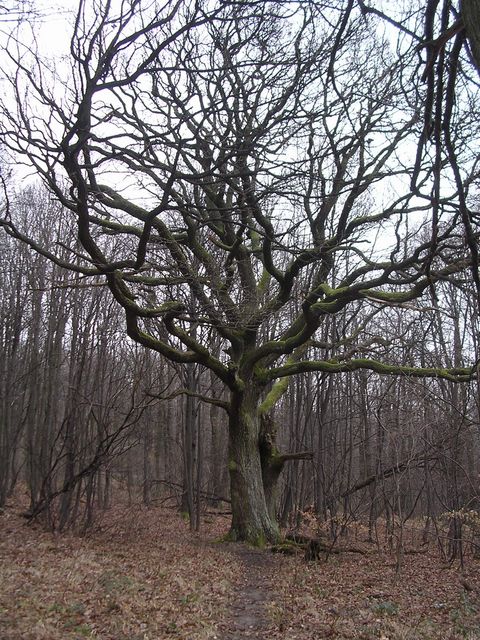 A képhez tartozó alt jellemző üres; 20241018_101325.jpg a fájlnév