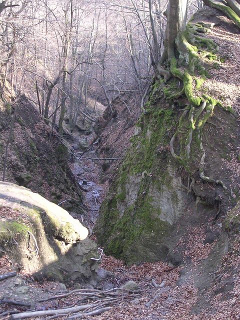 A képhez tartozó alt jellemző üres; 20241018_101325.jpg a fájlnév