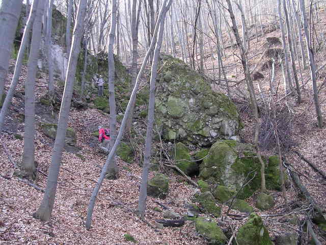 A képhez tartozó alt jellemző üres; 20241018_101325.jpg a fájlnév