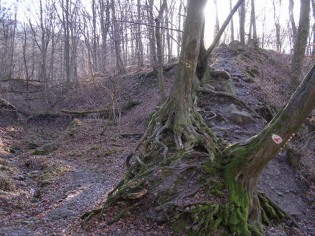 A képhez tartozó alt jellemző üres; 20241018_101325.jpg a fájlnév