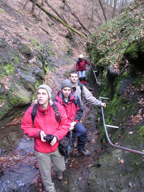 A képhez tartozó alt jellemző üres; 20241018_101325.jpg a fájlnév