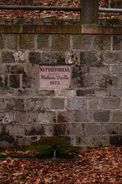 A képhez tartozó alt jellemző üres; 20241018_101325.jpg a fájlnév