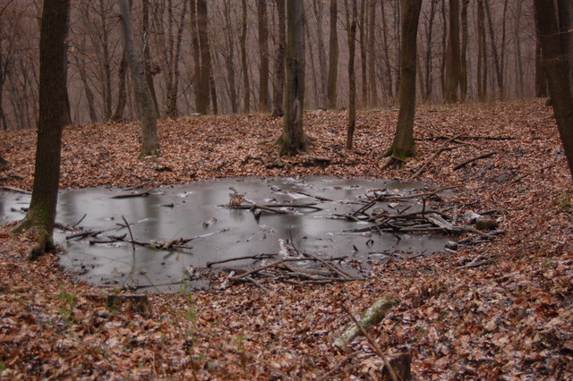 A képhez tartozó alt jellemző üres; 20241018_101325.jpg a fájlnév