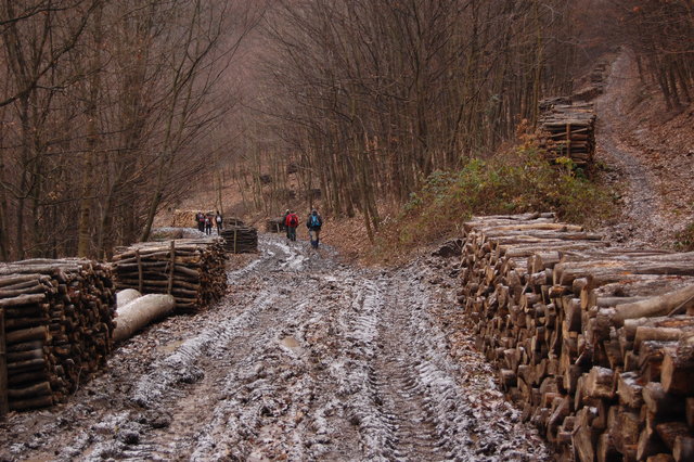 A képhez tartozó alt jellemző üres; 20241018_101325.jpg a fájlnév