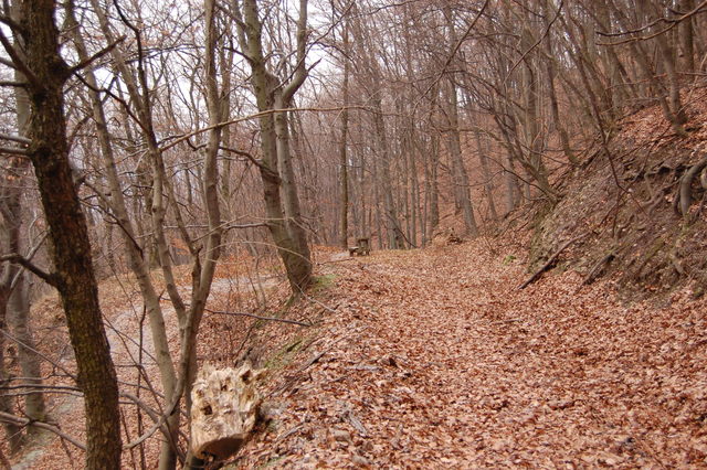 A képhez tartozó alt jellemző üres; 20241018_101325.jpg a fájlnév
