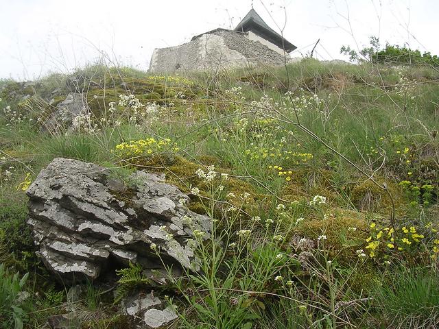 A képhez tartozó alt jellemző üres; 20241018_101325.jpg a fájlnév