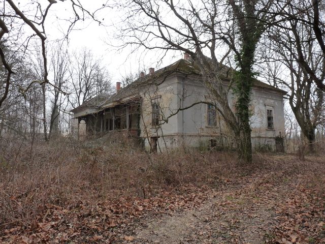A képhez tartozó alt jellemző üres; 20241018_101325.jpg a fájlnév