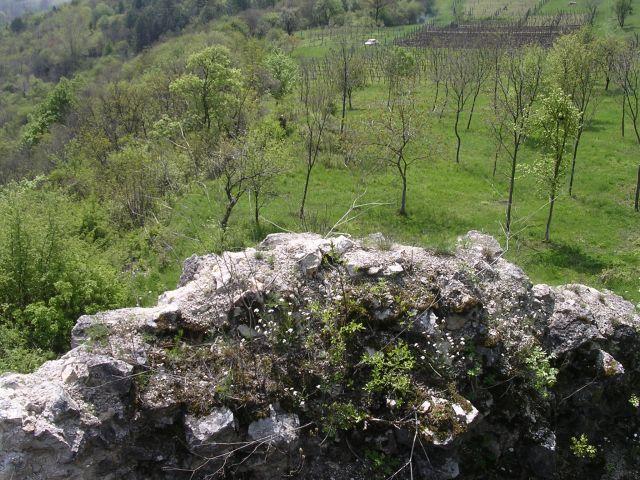 A képhez tartozó alt jellemző üres; 20241018_101325.jpg a fájlnév