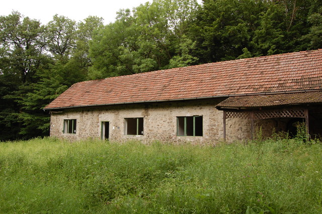 A képhez tartozó alt jellemző üres; 20241018_101325.jpg a fájlnév