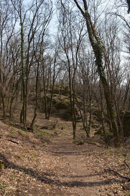 A képhez tartozó alt jellemző üres; 20241018_101325.jpg a fájlnév