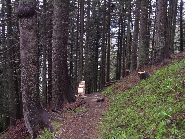 A képhez tartozó alt jellemző üres; 20241018_101325.jpg a fájlnév