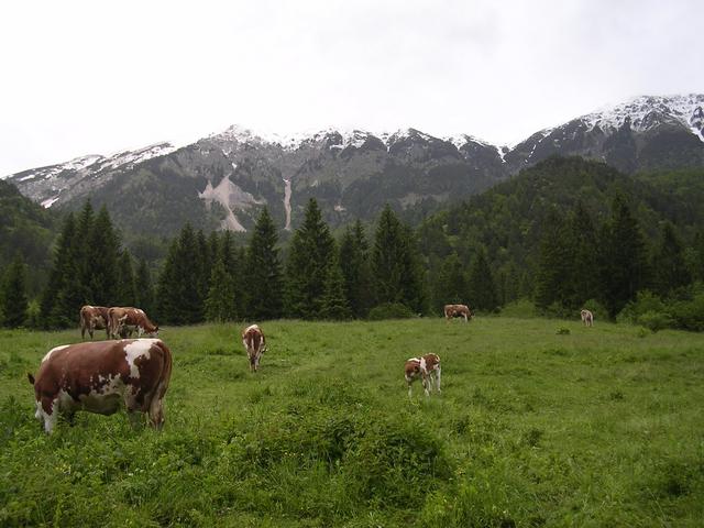 A képhez tartozó alt jellemző üres; 20241018_101325.jpg a fájlnév