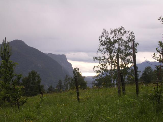 A képhez tartozó alt jellemző üres; 20241018_101325.jpg a fájlnév