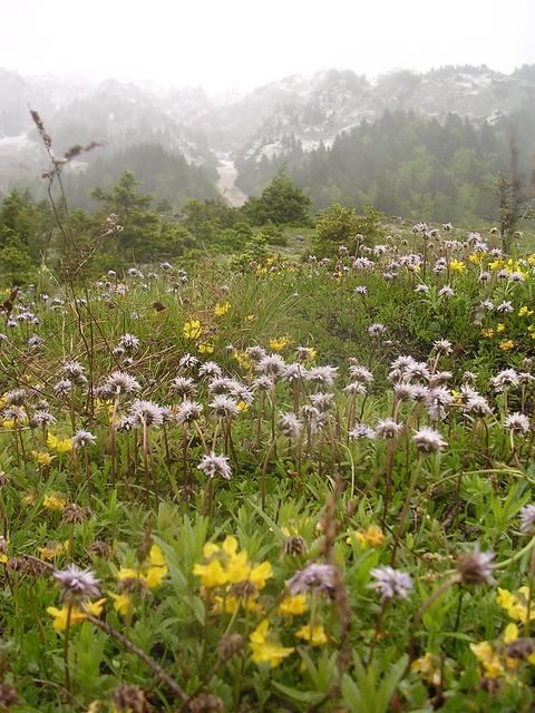 A képhez tartozó alt jellemző üres; 20241018_101325.jpg a fájlnév