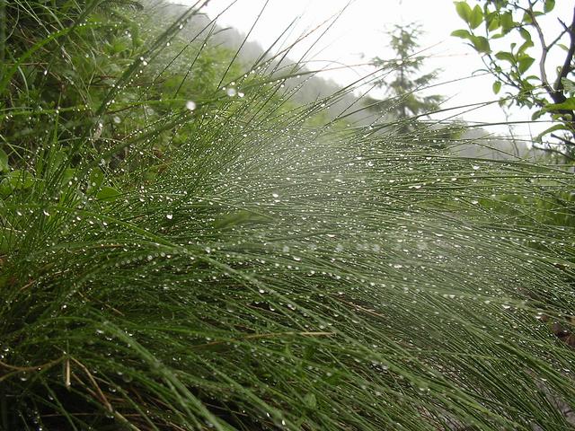 A képhez tartozó alt jellemző üres; 20241018_101325.jpg a fájlnév