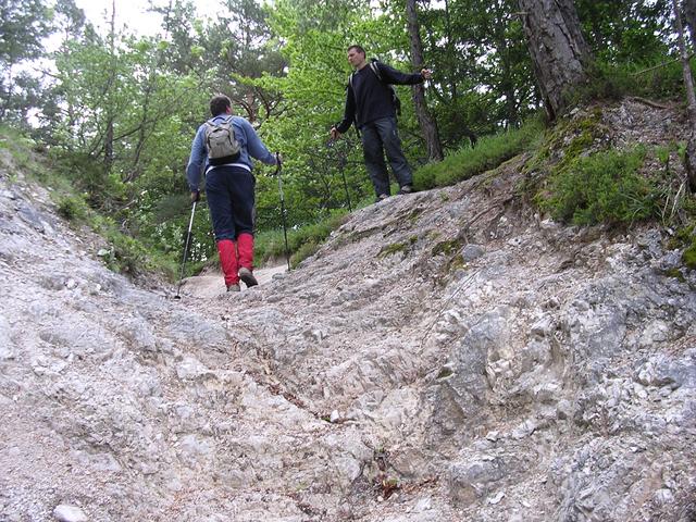 A képhez tartozó alt jellemző üres; 20241018_101325.jpg a fájlnév