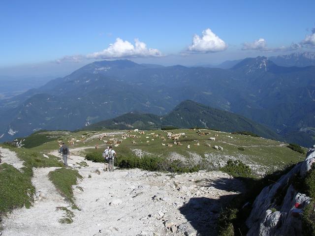 A képhez tartozó alt jellemző üres; 20241018_101325.jpg a fájlnév