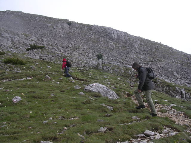 A képhez tartozó alt jellemző üres; 20241018_101325.jpg a fájlnév