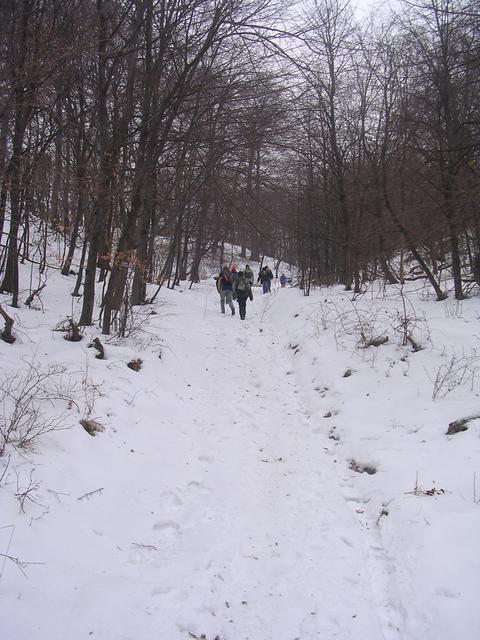 A képhez tartozó alt jellemző üres; 20241018_101325.jpg a fájlnév