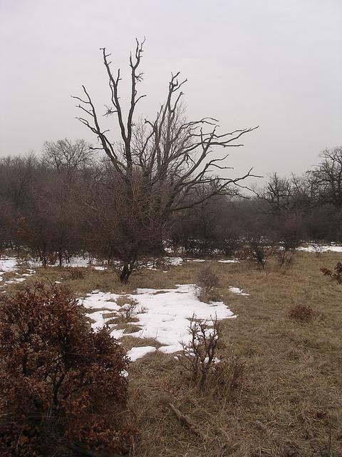 A képhez tartozó alt jellemző üres; 20241018_101325.jpg a fájlnév