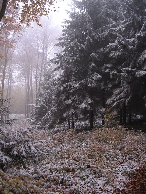 A képhez tartozó alt jellemző üres; 20241018_101325.jpg a fájlnév