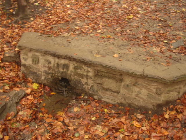 A képhez tartozó alt jellemző üres; 20241018_101325.jpg a fájlnév