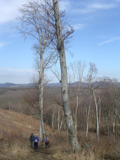 A képhez tartozó alt jellemző üres; 20241018_101325.jpg a fájlnév