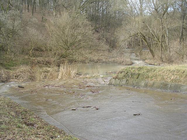 A képhez tartozó alt jellemző üres; 20241018_101325.jpg a fájlnév